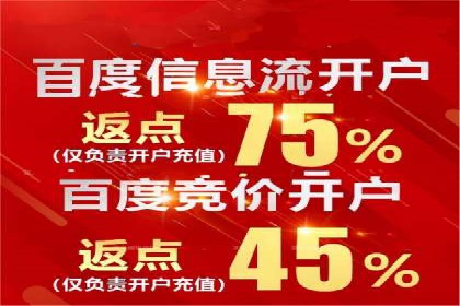 搜索引擎营销（SEM）的运营技巧与实际案例
